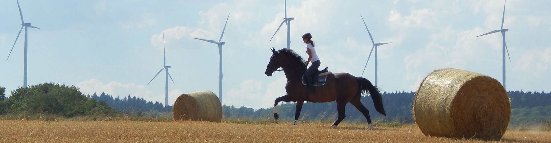 Frau reitet auf Pferd durch Feld mit Strohballen, im Hintergrund Windräder
