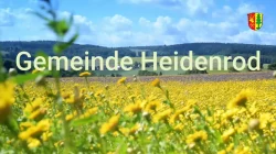 Vorschaubild des Imagevideos der Gemeinde Heidenrod mit gelbem Blütenfeld, Hügellandschaft und Schriftzug „Gemeinde Heidenrod“.