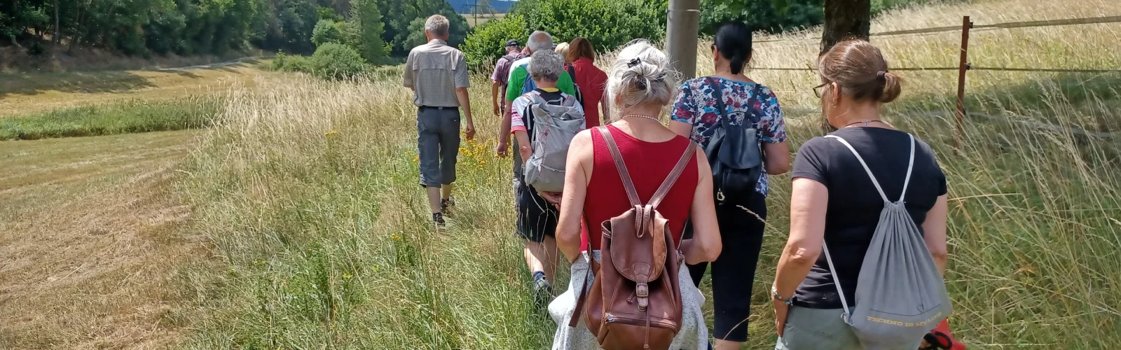 Gruppe von Menschen wandert gemeinsam auf einem Feldweg durch eine sommerliche Landschaft mit Wiesen und Bäumen.