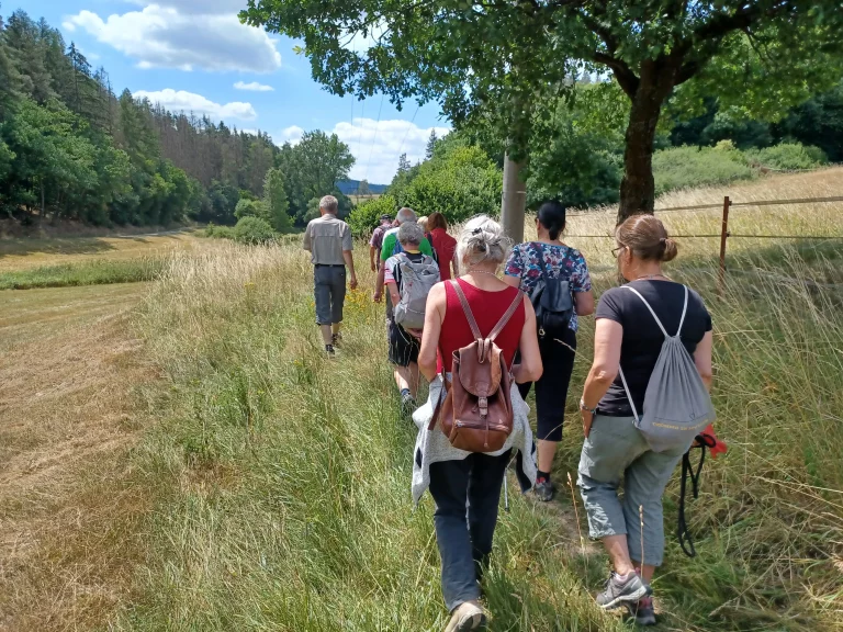 Gruppe von Menschen wandert gemeinsam auf einem Feldweg durch eine sommerliche Landschaft mit Wiesen und Bäumen.