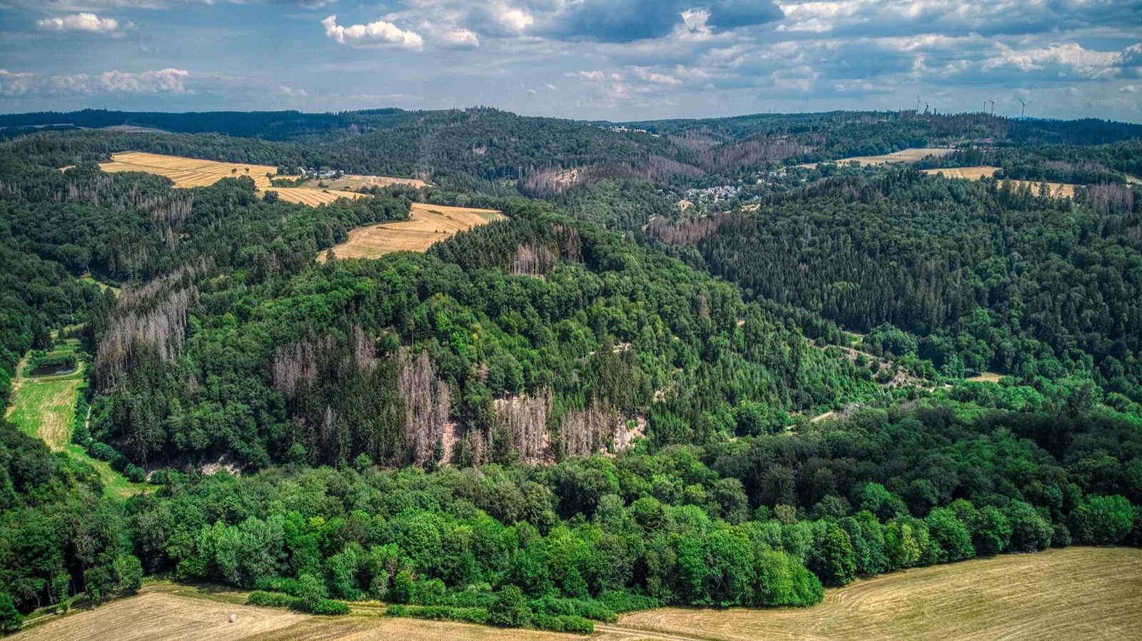 Luftaufnahme der bewaldeten Hügellandschaft von Heidenrod rund um den Ortsteil Wisper mit Feldern, Wäldern und Windrädern am Horizont