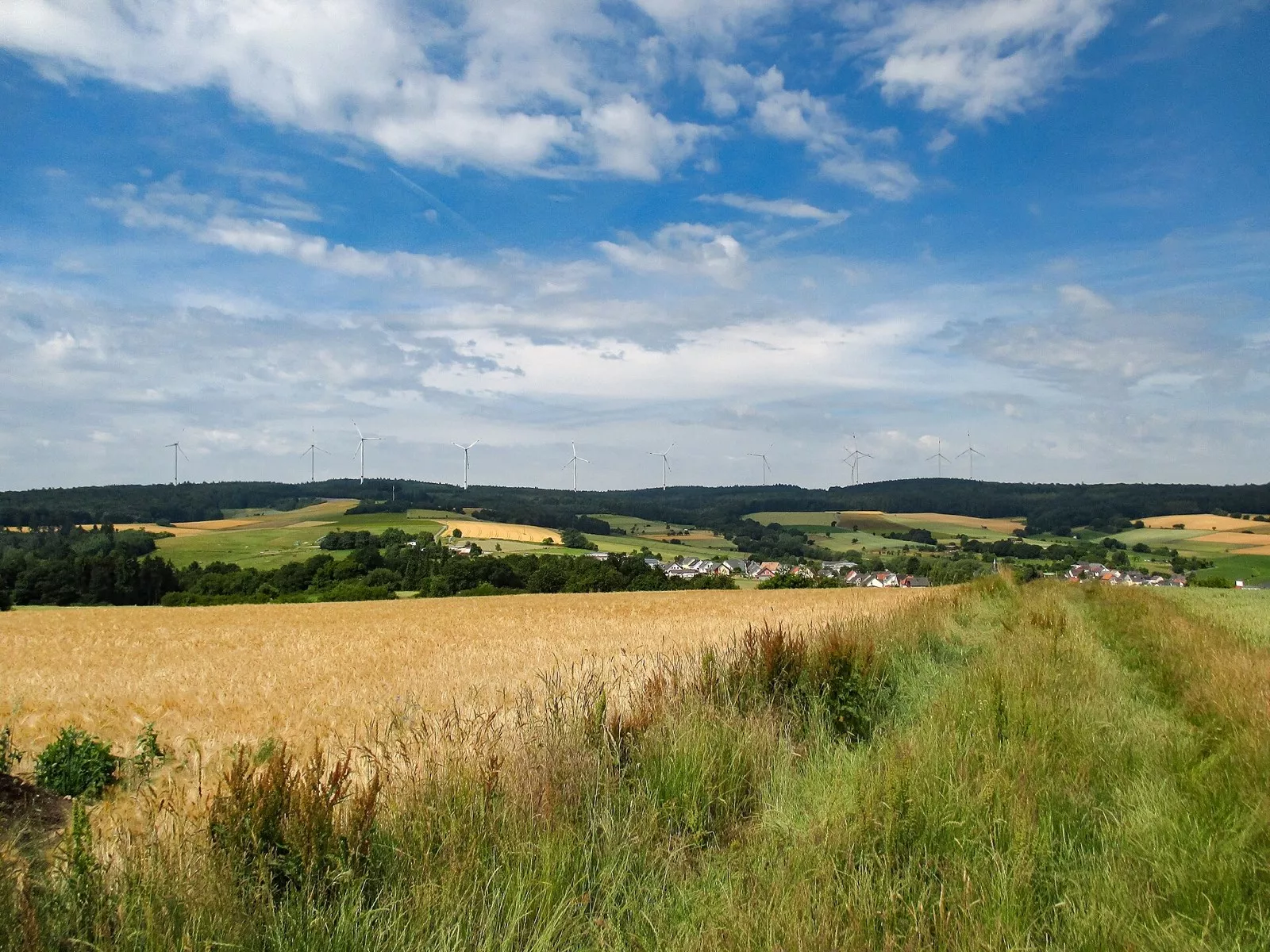 Blick über Getreidefelder auf den bewaldeten Kemeler Rücken bei Laufenselden mit den Windrädern des Windparks Heidenrod am Horizont